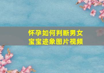 怀孕如何判断男女宝宝迹象图片视频