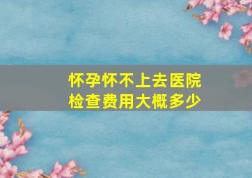 怀孕怀不上去医院检查费用大概多少