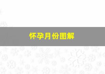 怀孕月份图解