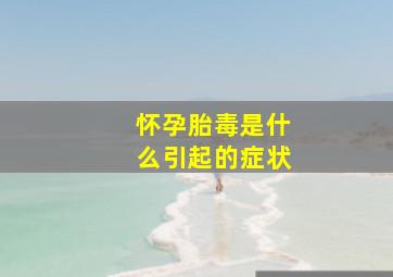 怀孕胎毒是什么引起的症状