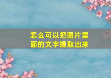 怎么可以把图片里面的文字提取出来