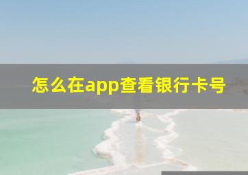 怎么在app查看银行卡号