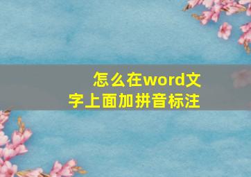 怎么在word文字上面加拼音标注