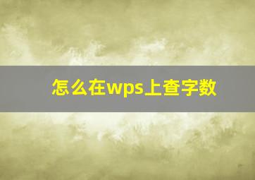 怎么在wps上查字数