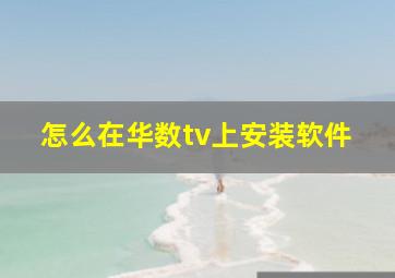 怎么在华数tv上安装软件