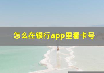 怎么在银行app里看卡号