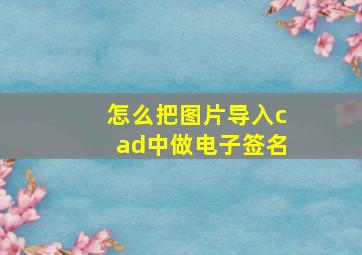 怎么把图片导入cad中做电子签名