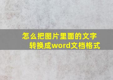 怎么把图片里面的文字转换成word文档格式