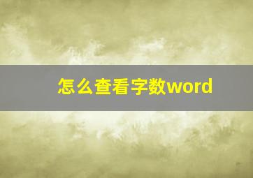 怎么查看字数word