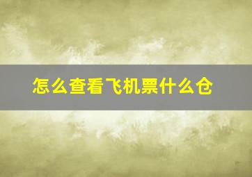 怎么查看飞机票什么仓