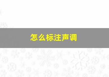 怎么标注声调