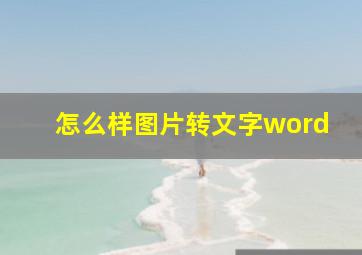 怎么样图片转文字word