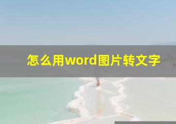 怎么用word图片转文字