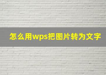 怎么用wps把图片转为文字