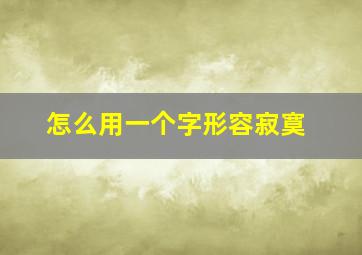 怎么用一个字形容寂寞