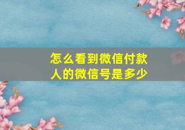 怎么看到微信付款人的微信号是多少