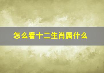 怎么看十二生肖属什么