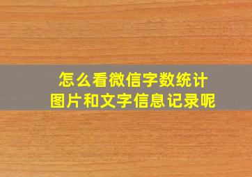 怎么看微信字数统计图片和文字信息记录呢