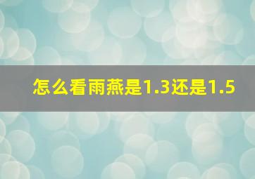 怎么看雨燕是1.3还是1.5