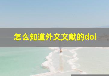 怎么知道外文文献的doi