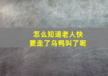 怎么知道老人快要走了乌鸭叫了呢