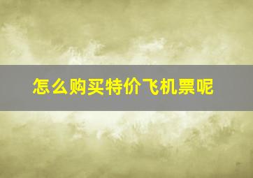 怎么购买特价飞机票呢