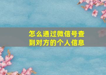 怎么通过微信号查到对方的个人信息