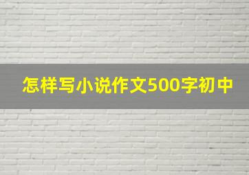 怎样写小说作文500字初中