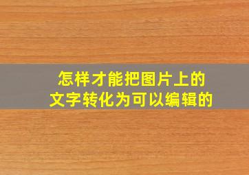 怎样才能把图片上的文字转化为可以编辑的