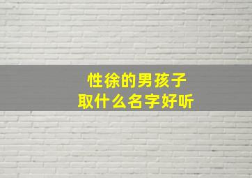 性徐的男孩子取什么名字好听