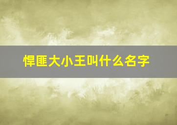 悍匪大小王叫什么名字