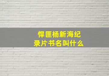 悍匪杨新海纪录片书名叫什么