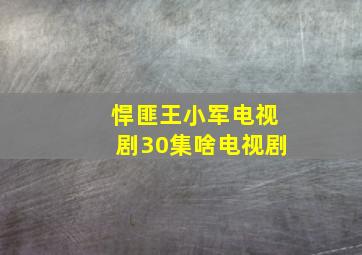 悍匪王小军电视剧30集啥电视剧