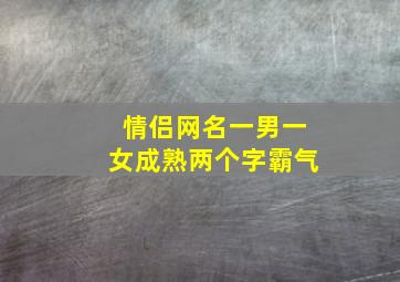 情侣网名一男一女成熟两个字霸气