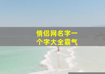 情侣网名字一个字大全霸气