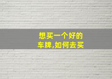 想买一个好的车牌,如何去买