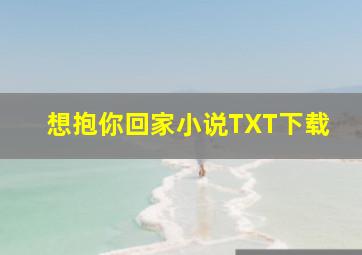 想抱你回家小说TXT下载