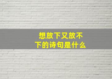 想放下又放不下的诗句是什么