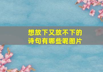 想放下又放不下的诗句有哪些呢图片