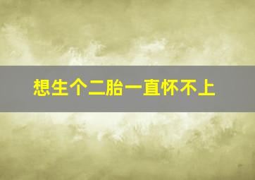 想生个二胎一直怀不上