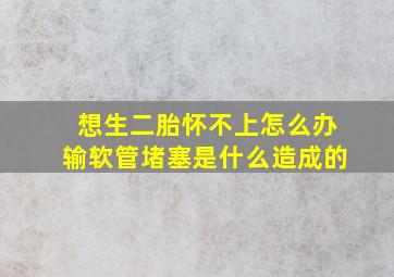 想生二胎怀不上怎么办输软管堵塞是什么造成的