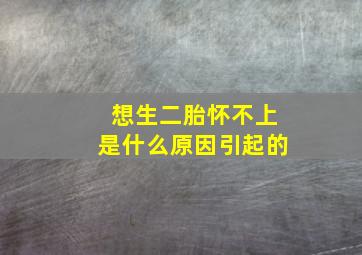 想生二胎怀不上是什么原因引起的