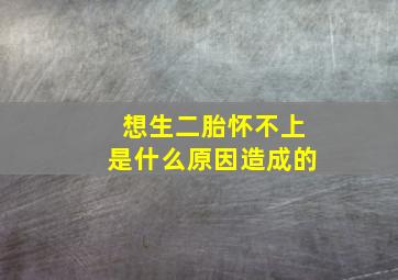 想生二胎怀不上是什么原因造成的