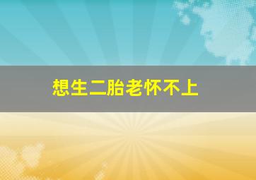 想生二胎老怀不上