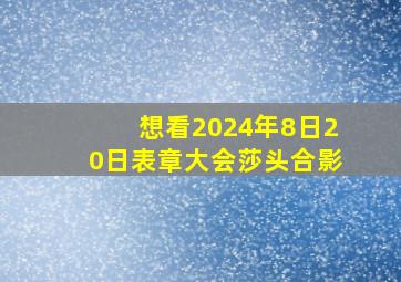 想看2024年8日20日表章大会莎头合影