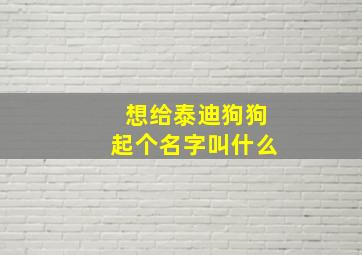 想给泰迪狗狗起个名字叫什么