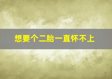 想要个二胎一直怀不上