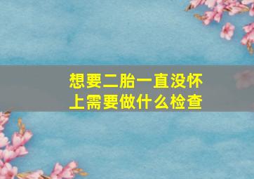 想要二胎一直没怀上需要做什么检查