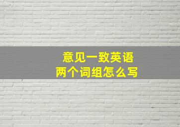 意见一致英语两个词组怎么写