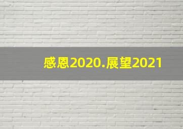 感恩2020.展望2021